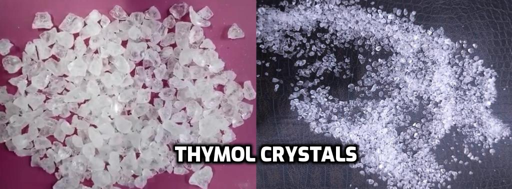 Thymol Crystals.jpg